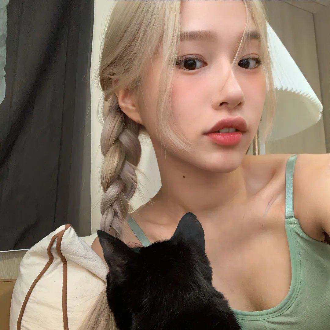 怪猫菲力兹